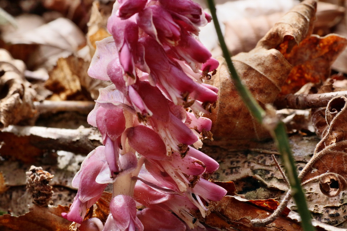 IMG-2016-04-03-00011491p_Bildgr��e �ndern