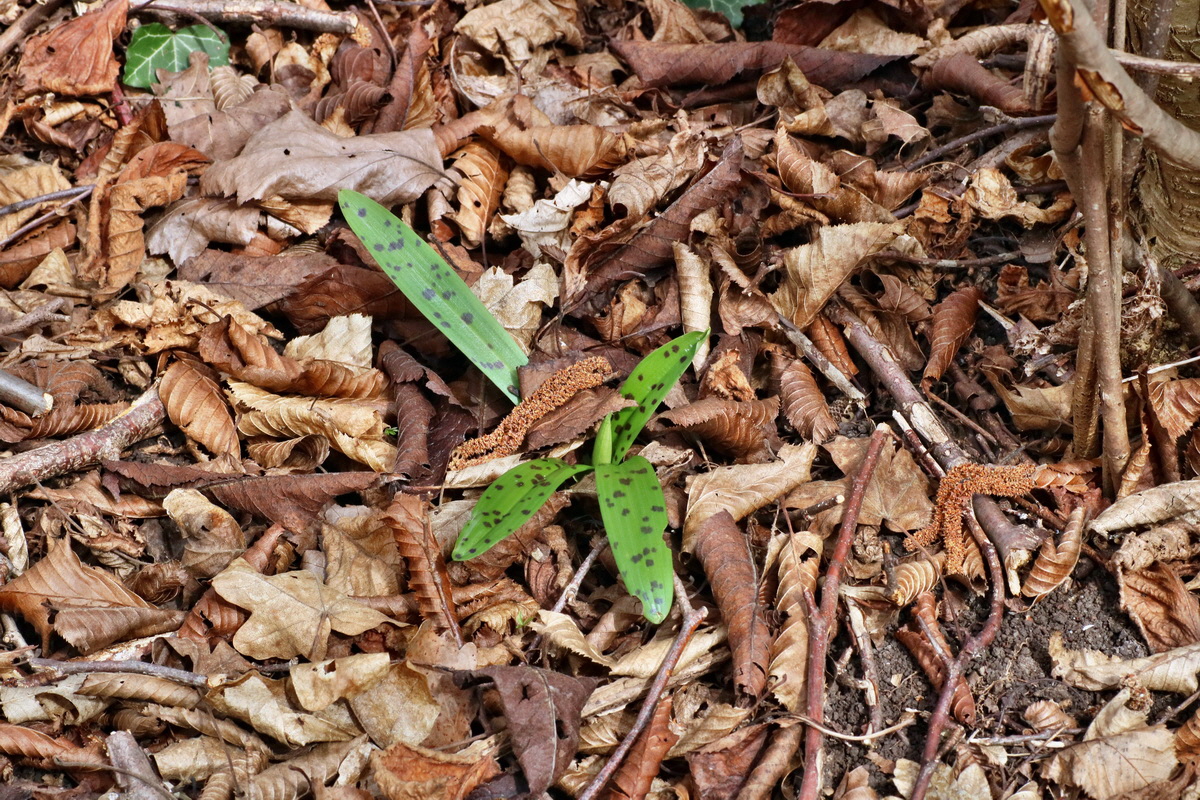 IMG-2016-04-03-00011493p_Bildgr��e �ndern