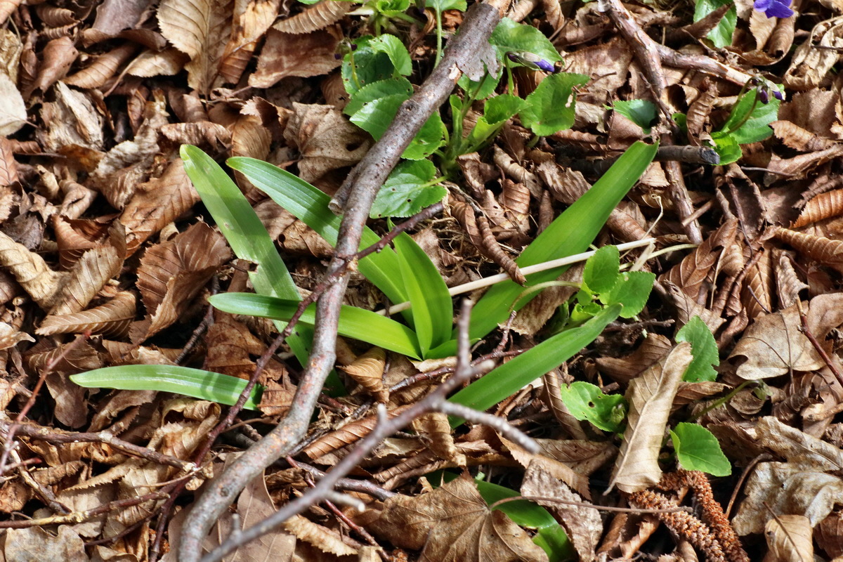 IMG-2016-04-03-00011498p_Bildgr��e �ndern