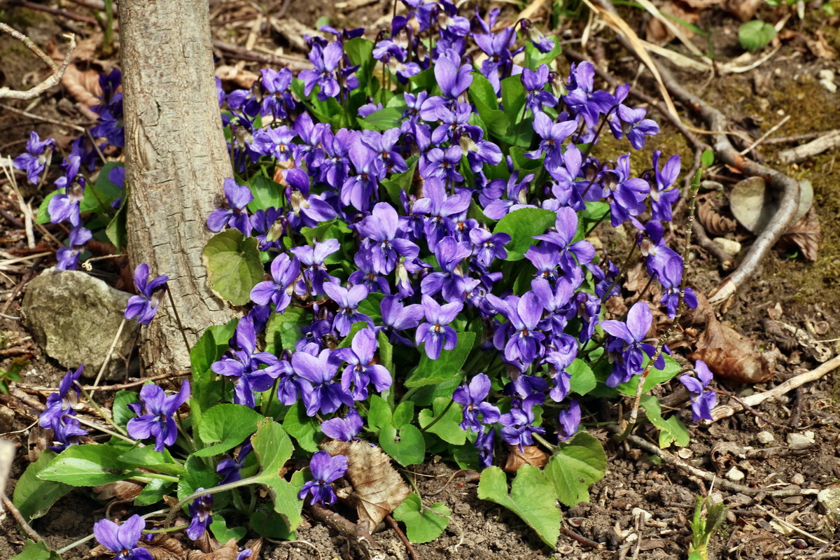 IMG-2016-04-03-00011502p_Bildgr��e �ndern