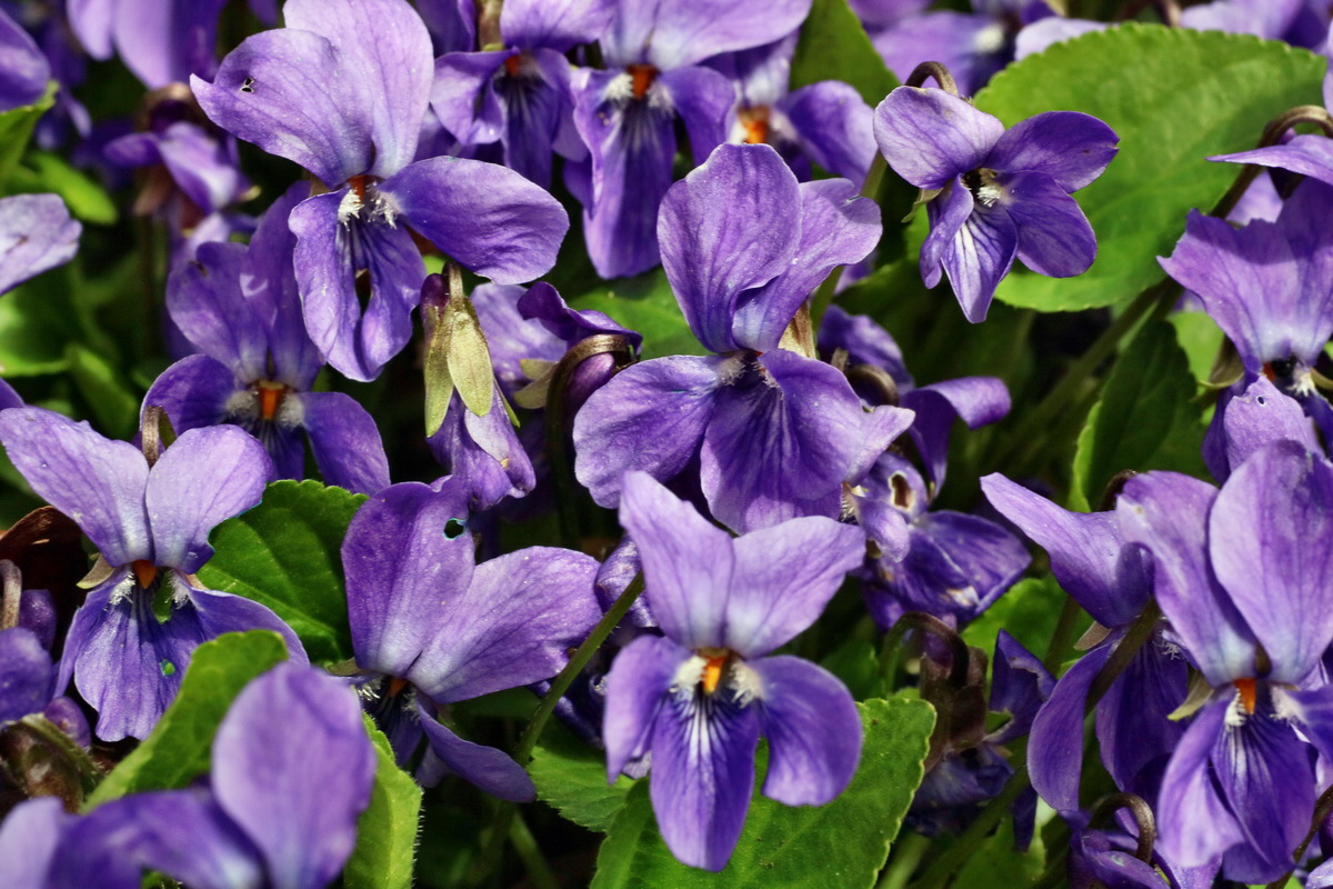 IMG-2016-04-03-00011506p_Bildgr��e �ndern