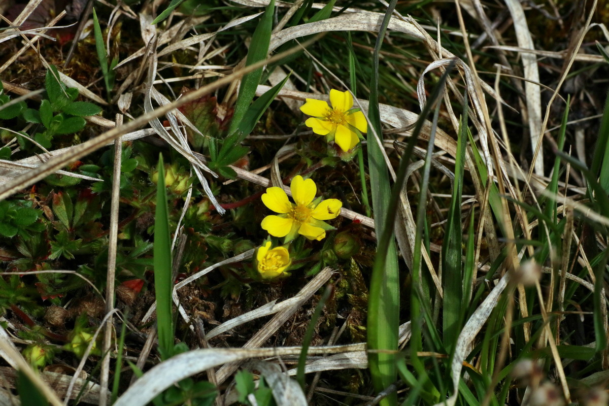 IMG-2016-04-03-00011509p_Bildgr��e �ndern