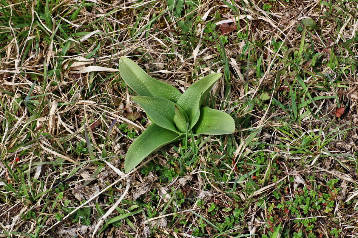 IMG-2016-04-03-00011511p_Bildgr��e �ndern