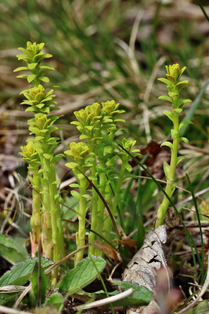 IMG-2016-04-03-00011518p_Bildgr��e �ndern