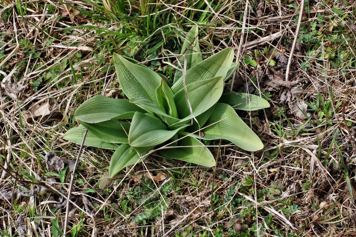 IMG-2016-04-03-00011521p_Bildgr��e �ndern