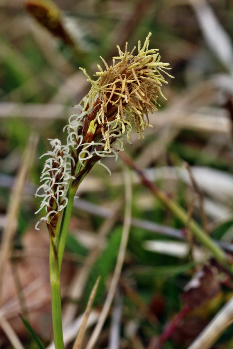 IMG-2016-04-03-00011523p_Bildgr��e �ndern