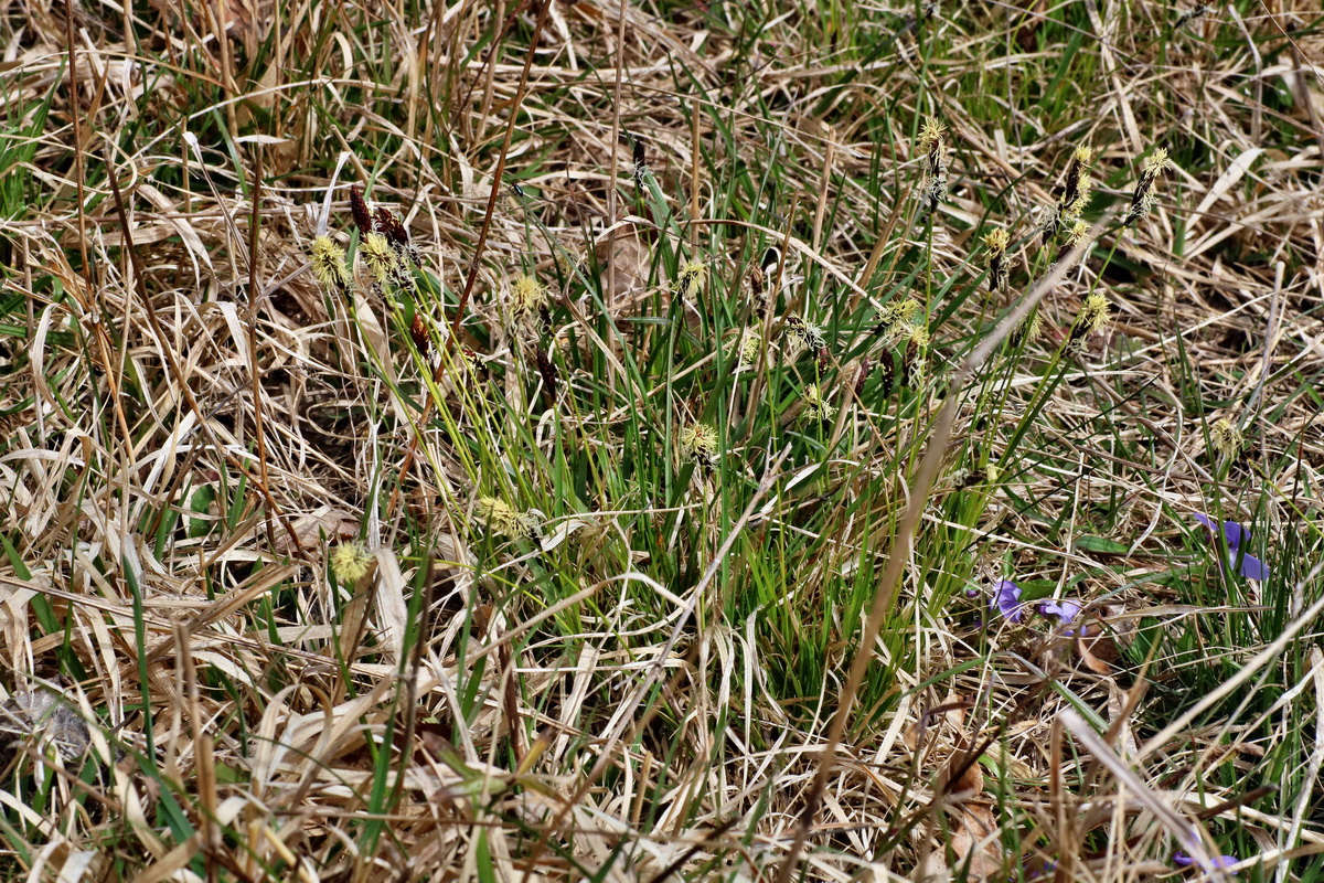 IMG-2016-04-03-00011531p_Bildgr��e �ndern