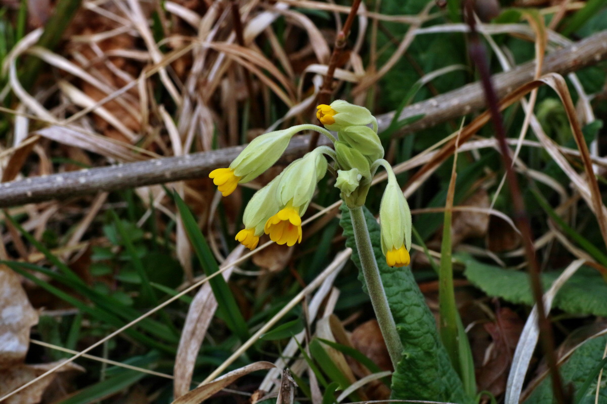 IMG-2016-04-03-00011534p_Bildgr��e �ndern