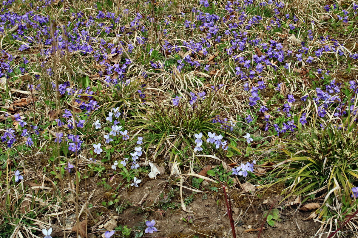 IMG-2016-04-03-00011557p_Bildgr��e �ndern