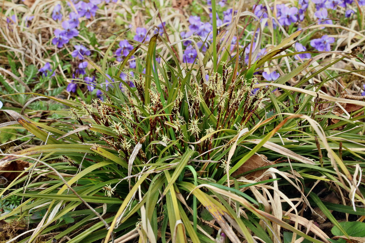 IMG-2016-04-03-00011561p_Bildgr��e �ndern