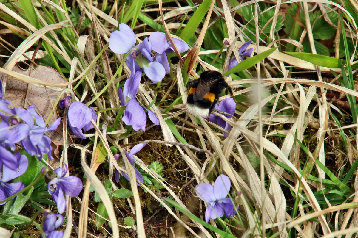 IMG-2016-04-03-00011571p_Bildgr��e �ndern