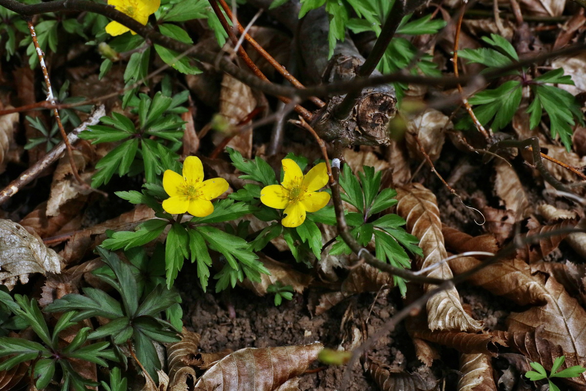 IMG-2016-04-03-00011575p_Bildgr��e �ndern