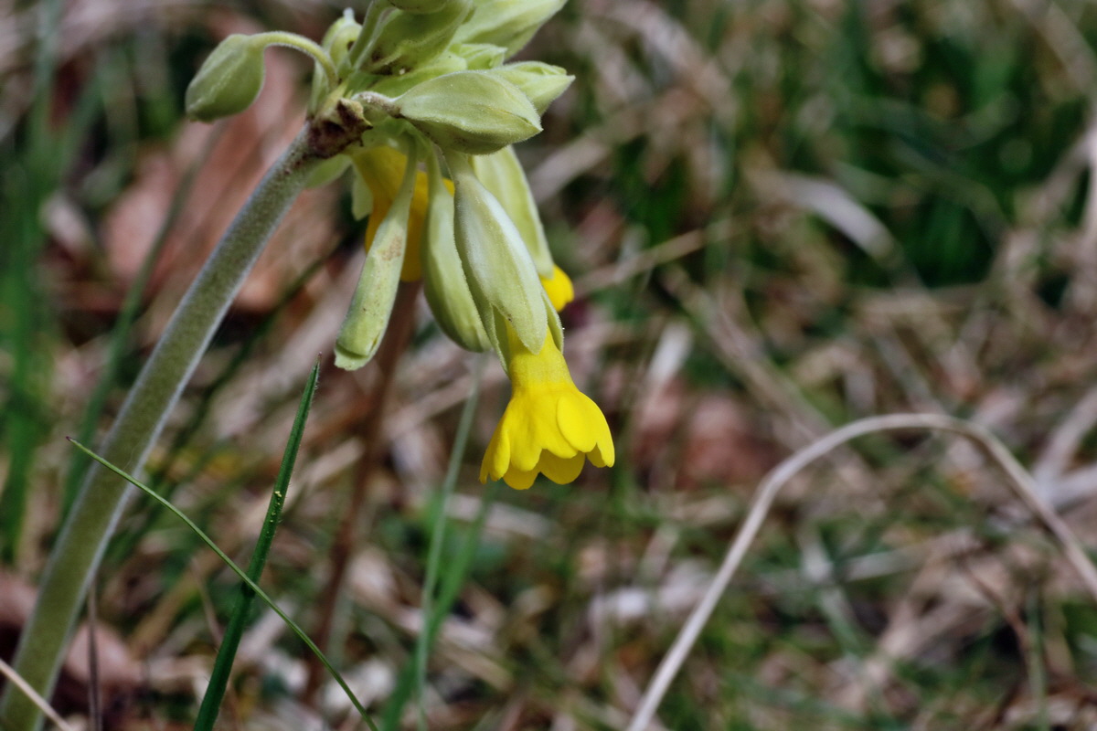 IMG-2016-04-03-00011578p_Bildgr��e �ndern