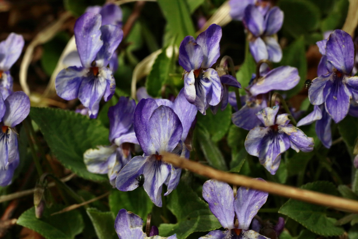 IMG-2016-04-03-00011592p_Bildgr��e �ndern