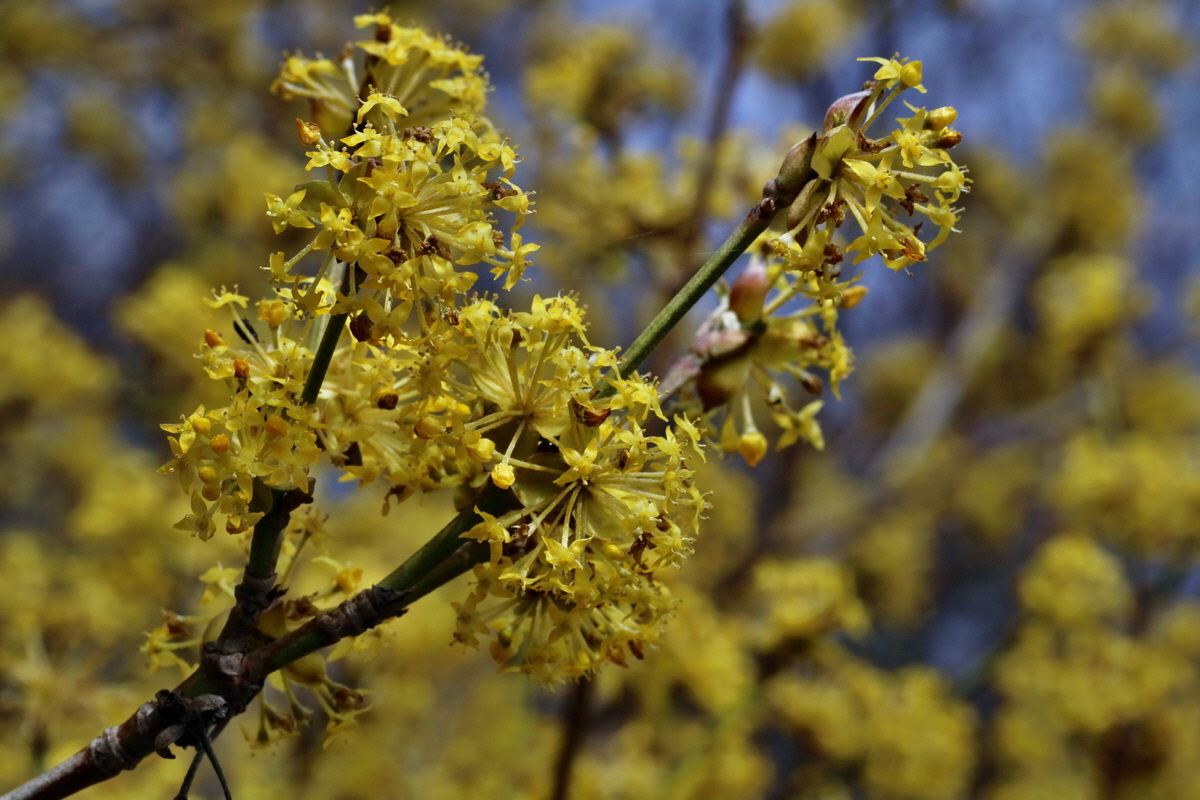 IMG-2016-04-03-00011593p_Bildgr��e �ndern