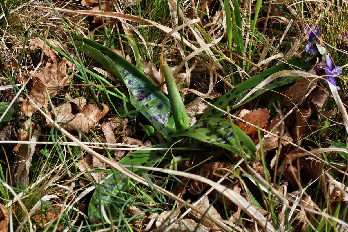 IMG-2016-04-03-00011596p_Bildgr��e �ndern