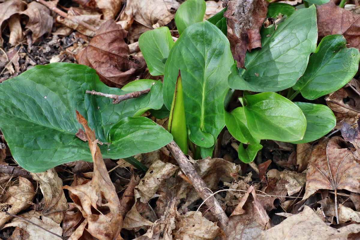 IMG-2016-04-03-00011610p_Bildgr��e �ndern