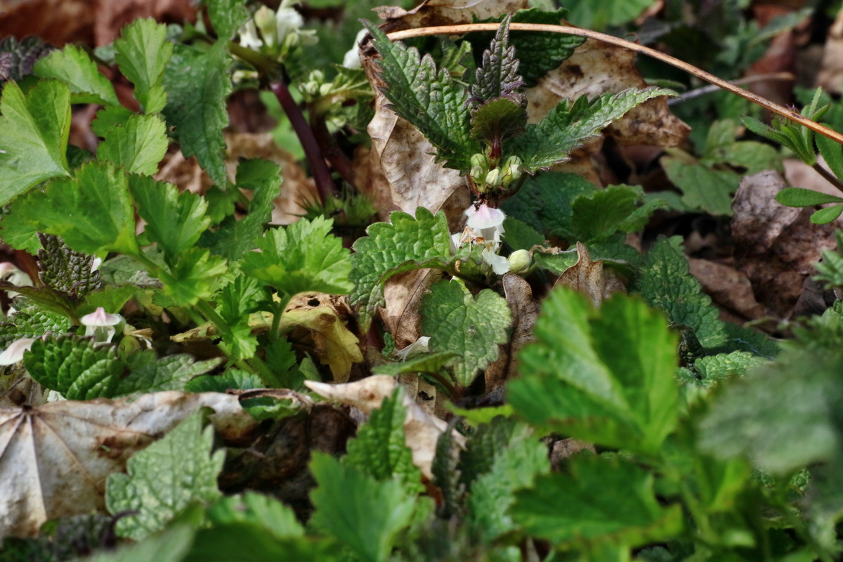 IMG-2016-04-03-00011612p_Bildgr��e �ndern