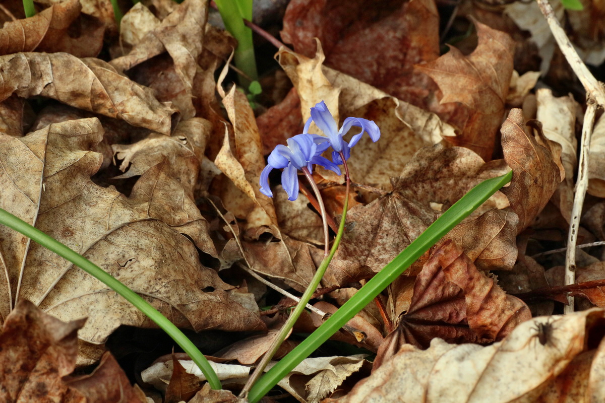 IMG-2016-04-03-00011614p_Bildgr��e �ndern