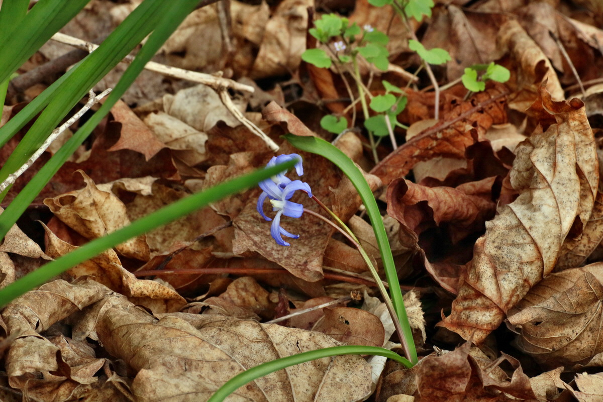 IMG-2016-04-03-00011617p_Bildgr��e �ndern