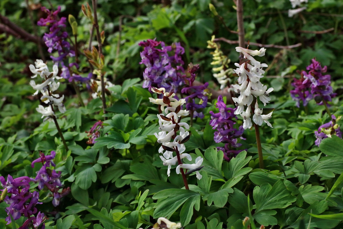 IMG-2016-04-03-00011620p_Bildgr��e �ndern