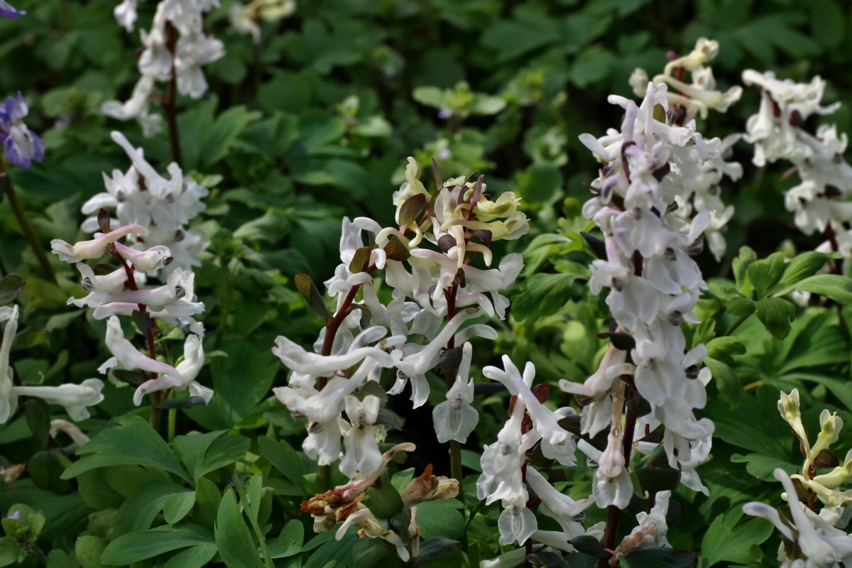 IMG-2016-04-03-00011623p_Bildgr��e �ndern