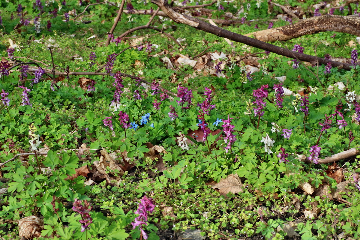 IMG-2016-04-03-00011626p_Bildgr��e �ndern