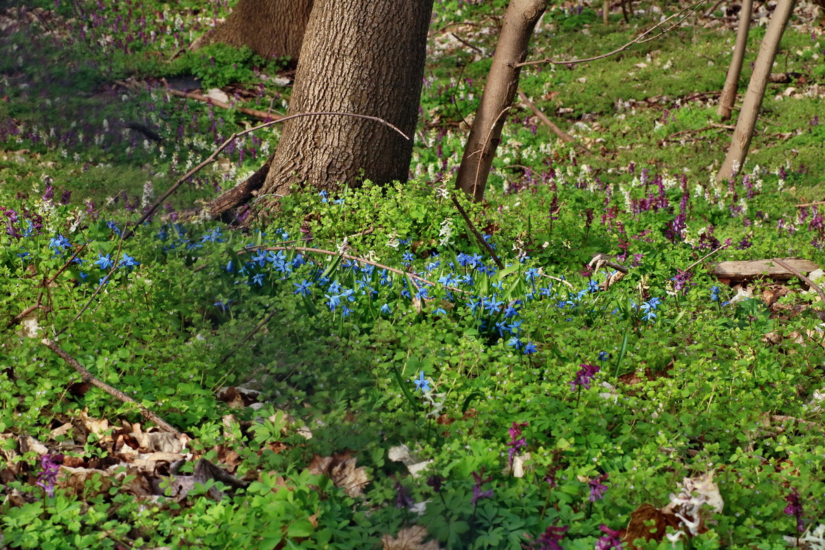 IMG-2016-04-03-00011629p_Bildgr��e �ndern