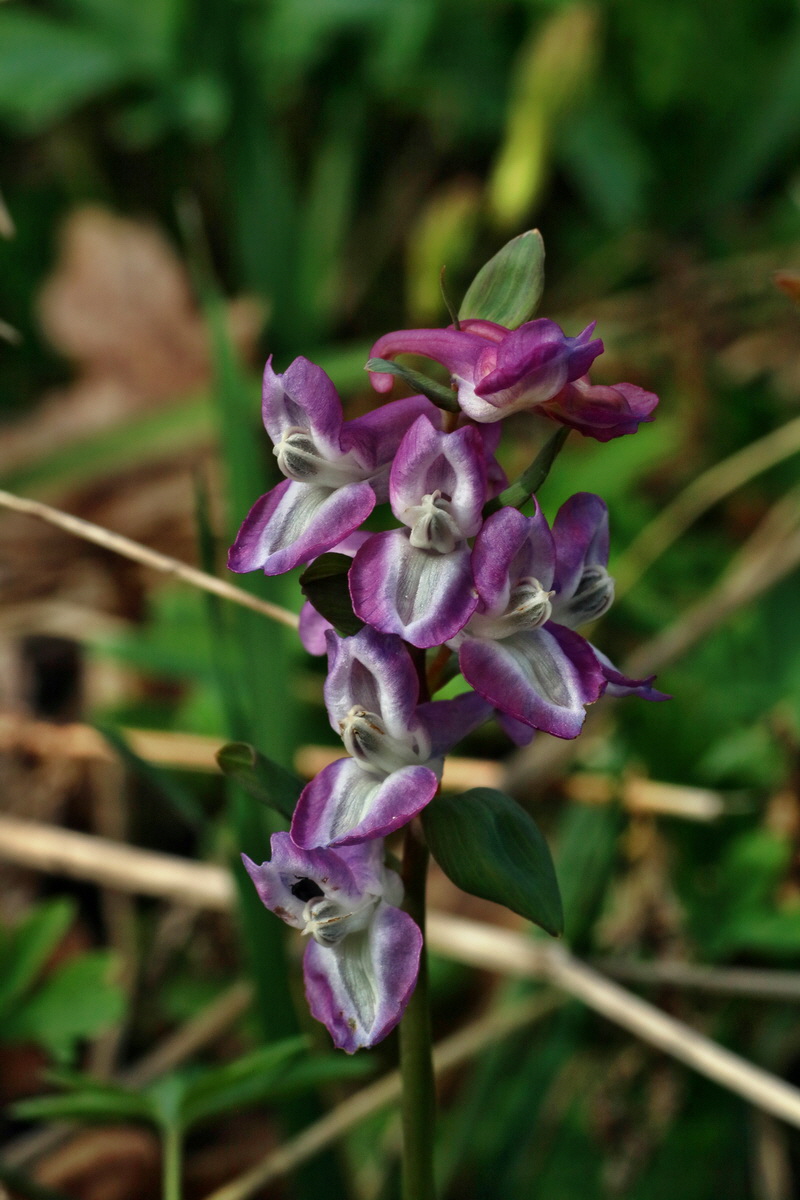 IMG-2016-04-03-00011630p_Bildgr��e �ndern