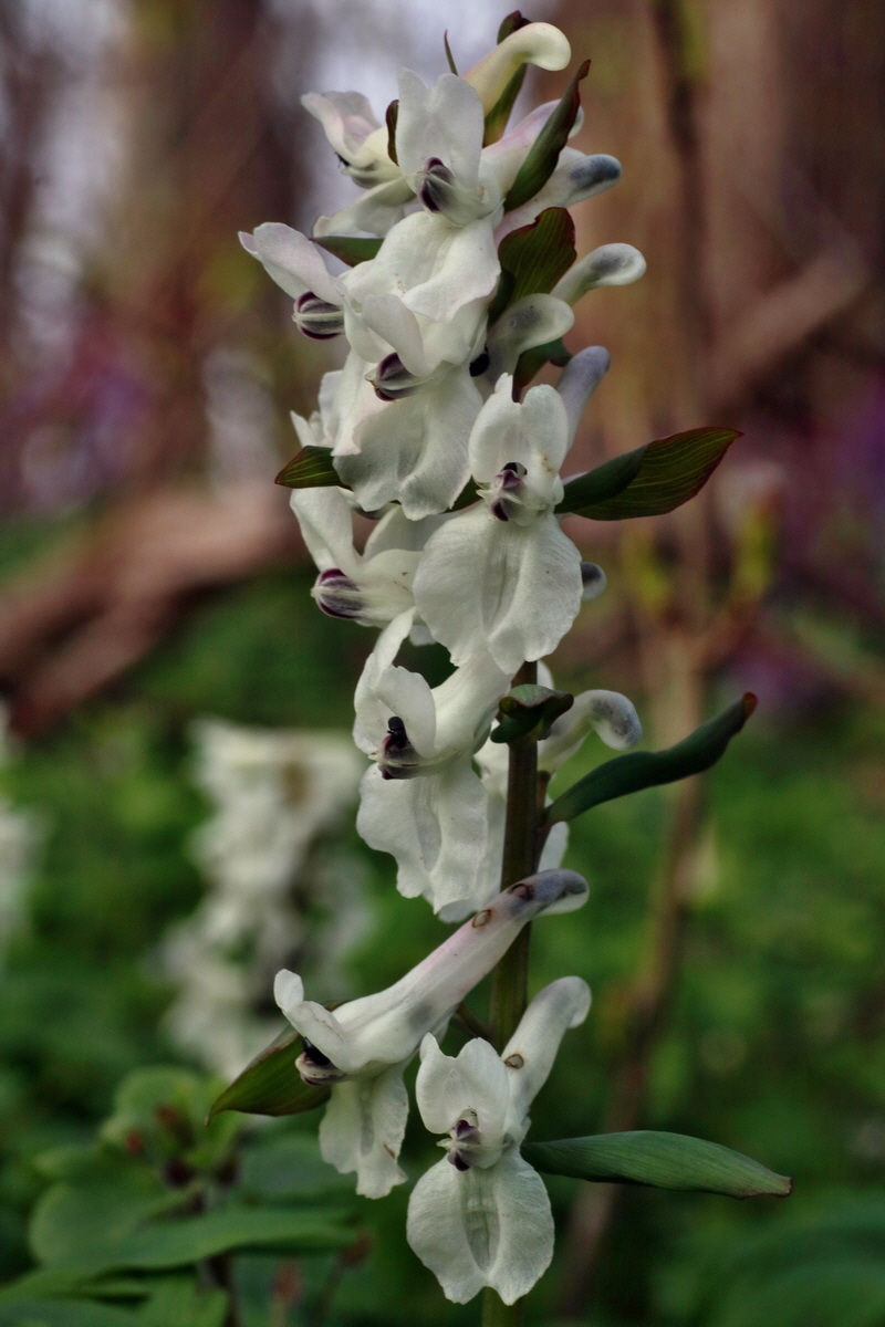 IMG-2016-04-03-00011640p_Bildgr��e �ndern