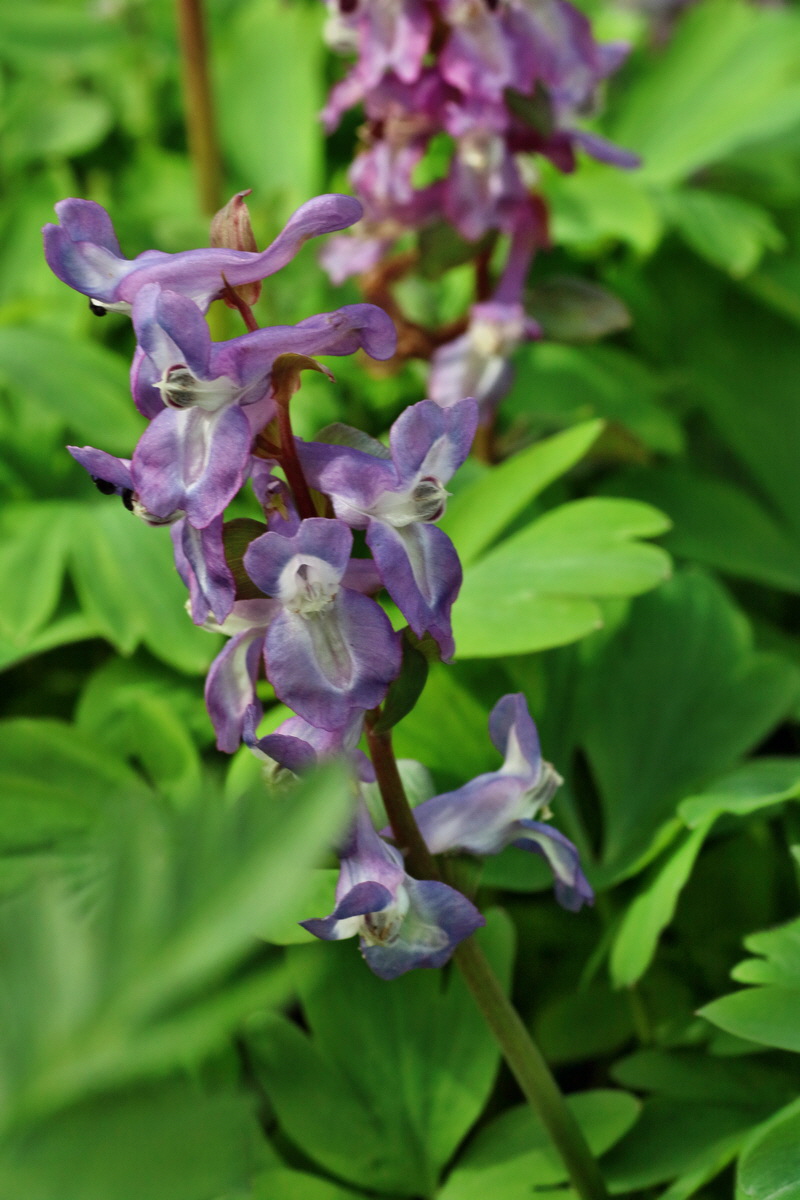 IMG-2016-04-03-00011644p_Bildgr��e �ndern