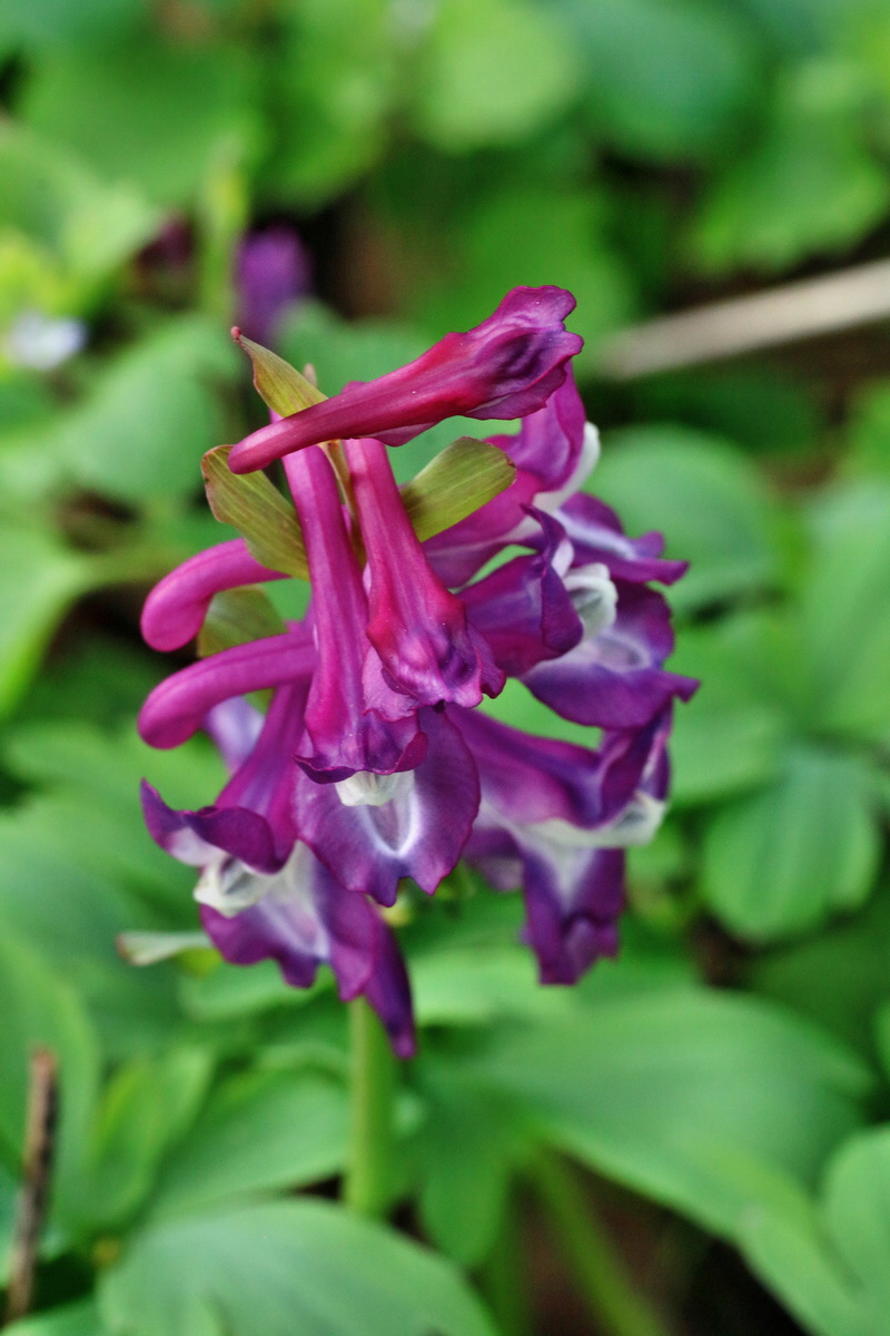 IMG-2016-04-03-00011647p_Bildgr��e �ndern