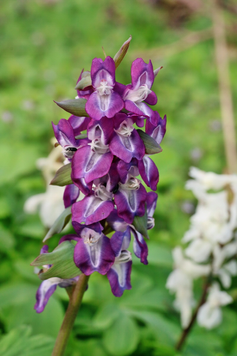 IMG-2016-04-03-00011650p_Bildgr��e �ndern