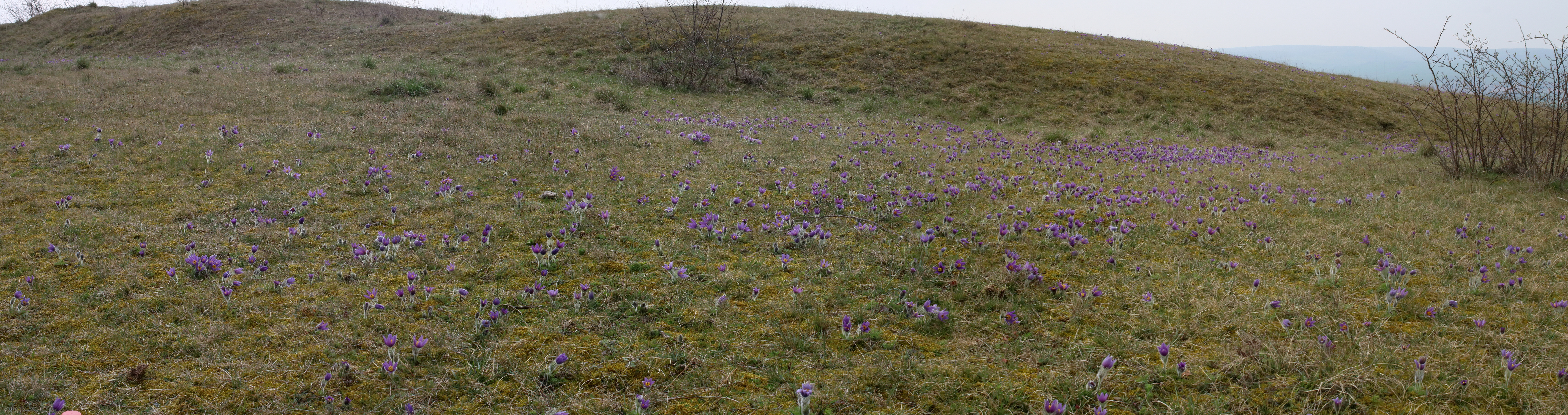 [Group 2]-IMG-2016-04-05-00011789_IMG-2016-04-05-00011798-3 images_Bildgr��e �ndern