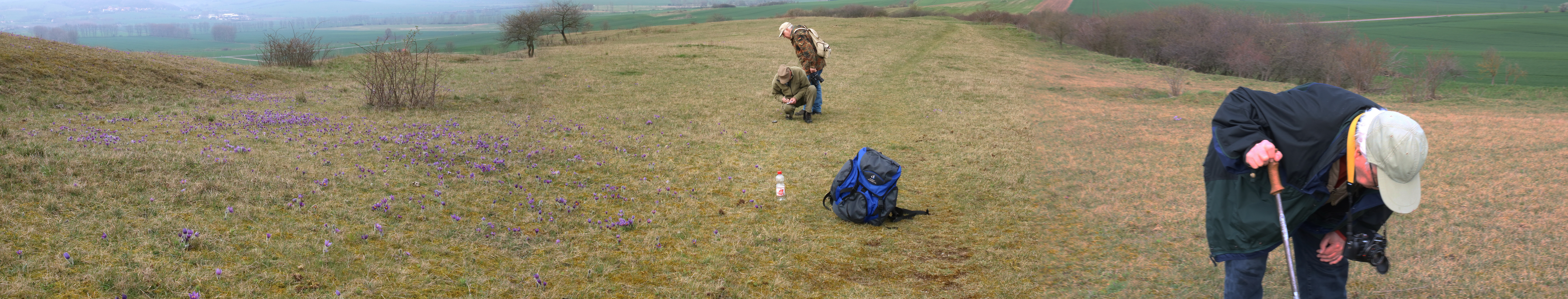 [Group 2]-IMG-2016-04-05-00011800_IMG-2016-04-05-00011804-3 images_Bildgr��e �ndern