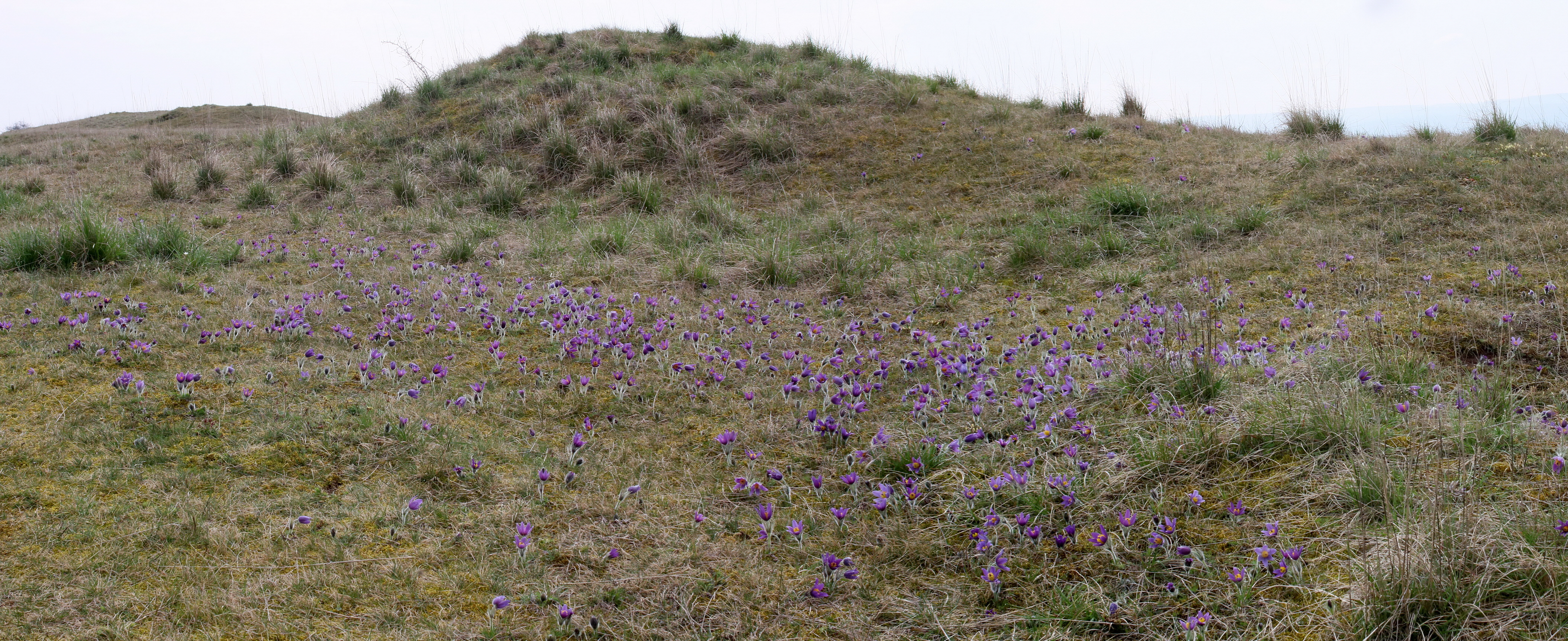 [Group 2]-IMG-2016-04-05-00011807_IMG-2016-04-05-00011813-2 images_Bildgr��e �ndern