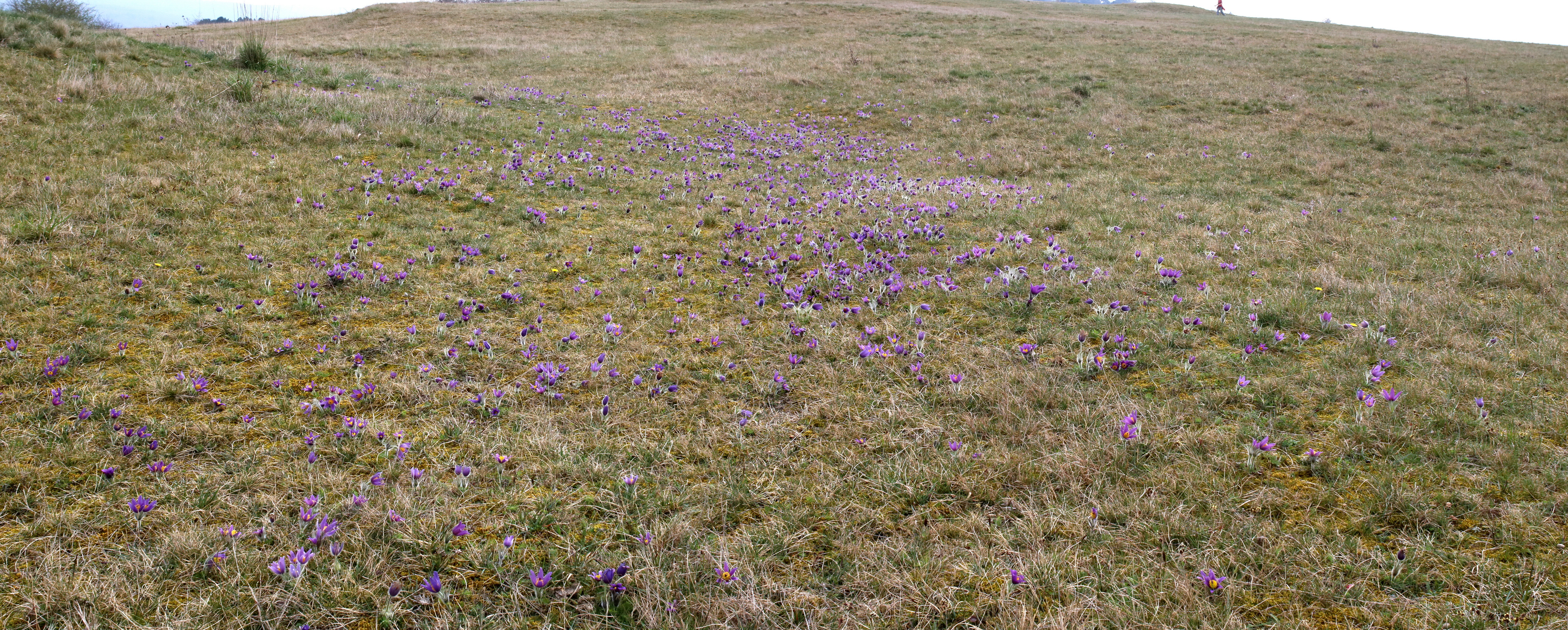 [Group 2]-IMG-2016-04-05-00011819_IMG-2016-04-05-00011824-2 images_Bildgr��e �ndern