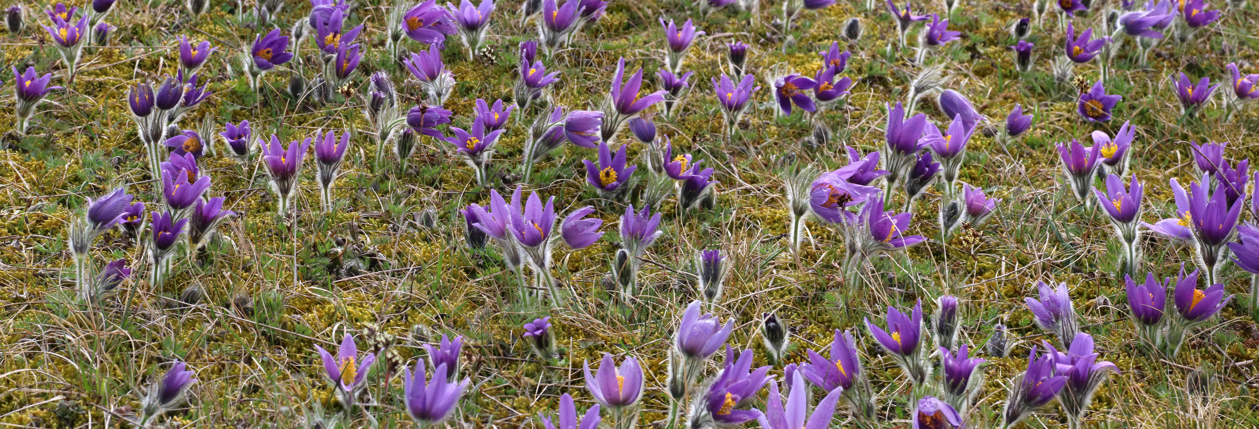 [Group 6]-IMG-2016-04-05-00011768_IMG-2016-04-05-00011771-2 images_Bildgr��e �ndern