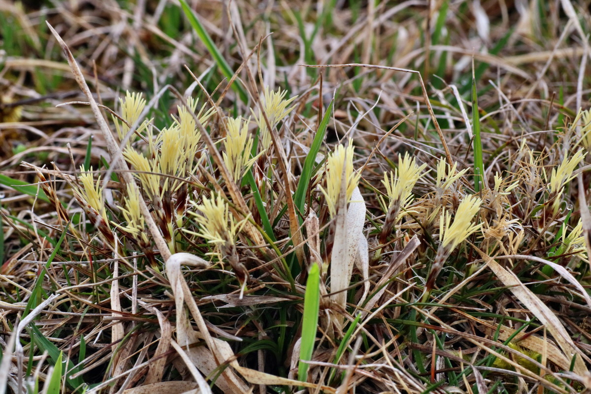 IMG-2016-04-05-00011653p_Bildgr��e �ndern