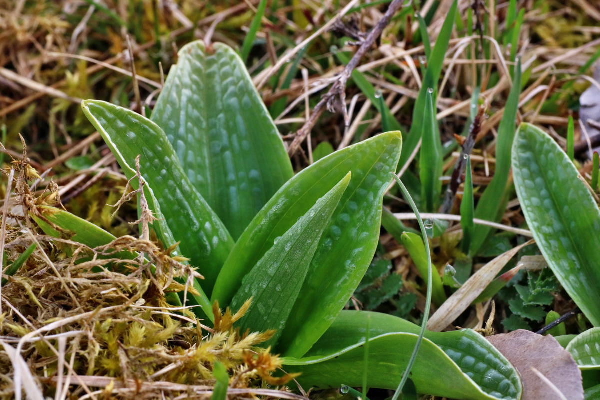 IMG-2016-04-05-00011655p_Bildgr��e �ndern