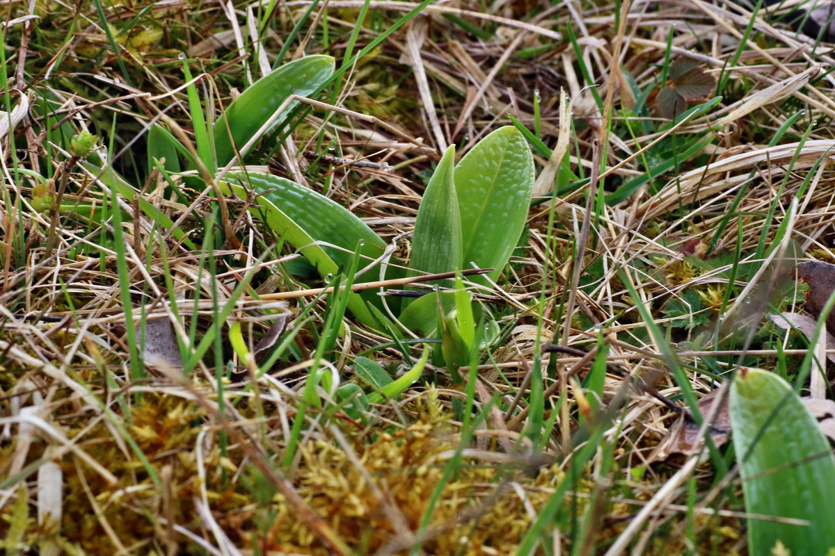 IMG-2016-04-05-00011658p_Bildgr��e �ndern