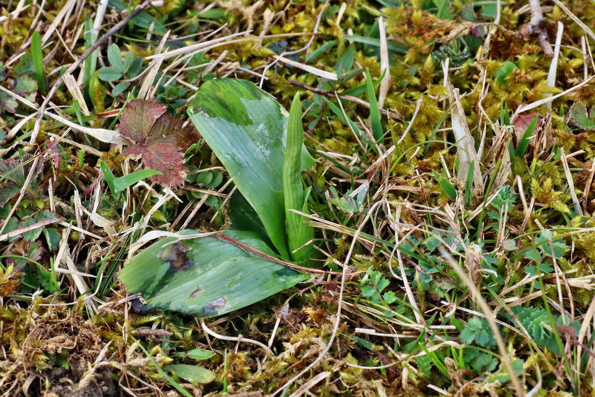 IMG-2016-04-05-00011665p_Bildgr��e �ndern