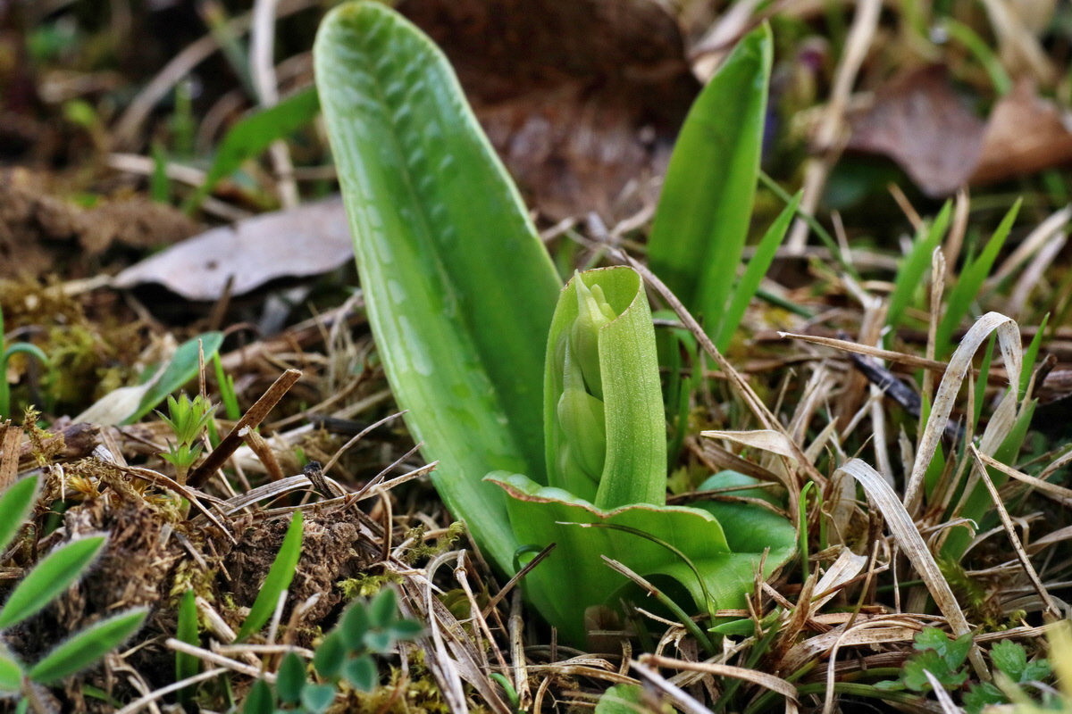 IMG-2016-04-05-00011674p_Bildgr��e �ndern