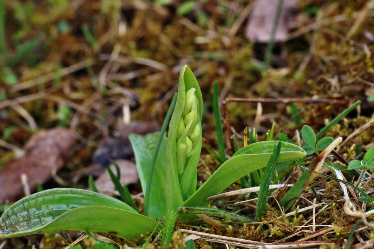 IMG-2016-04-05-00011677p_Bildgr��e �ndern