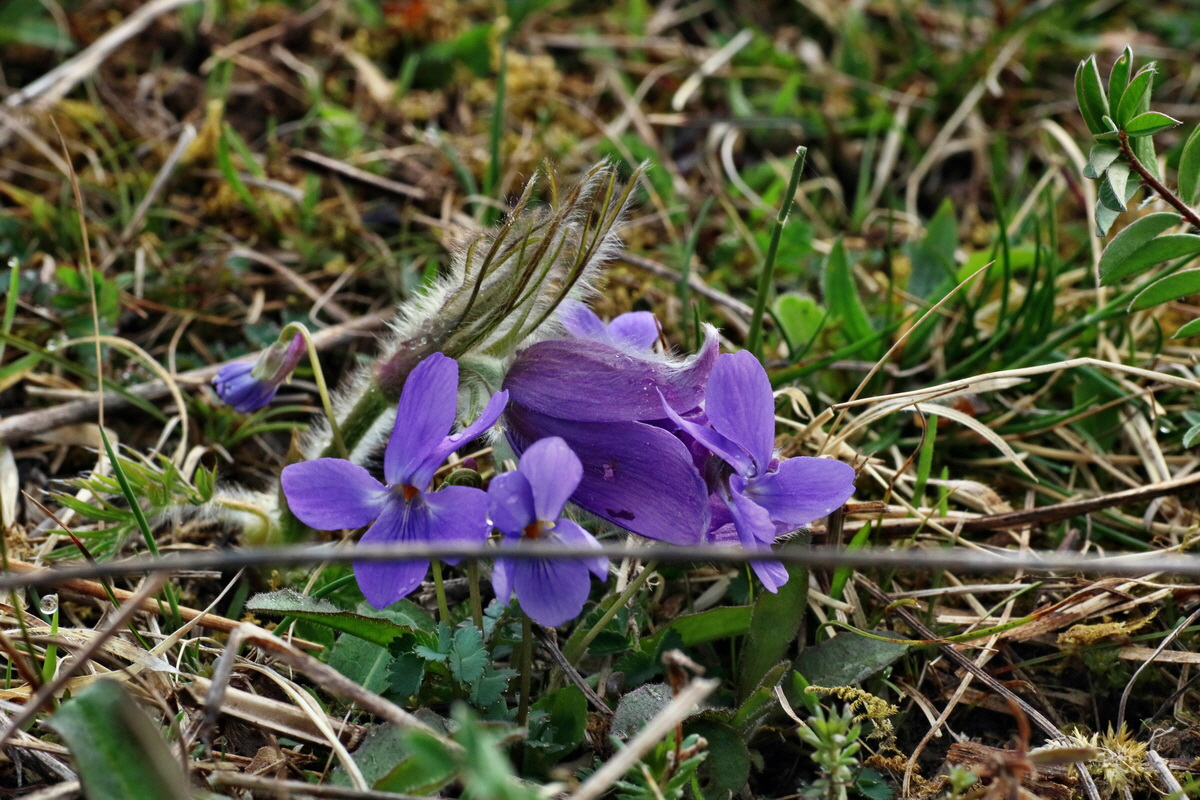 IMG-2016-04-05-00011688p_Bildgr��e �ndern