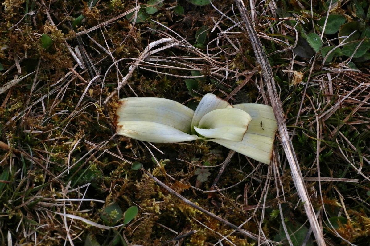 IMG-2016-04-05-00011693p_Bildgr��e �ndern