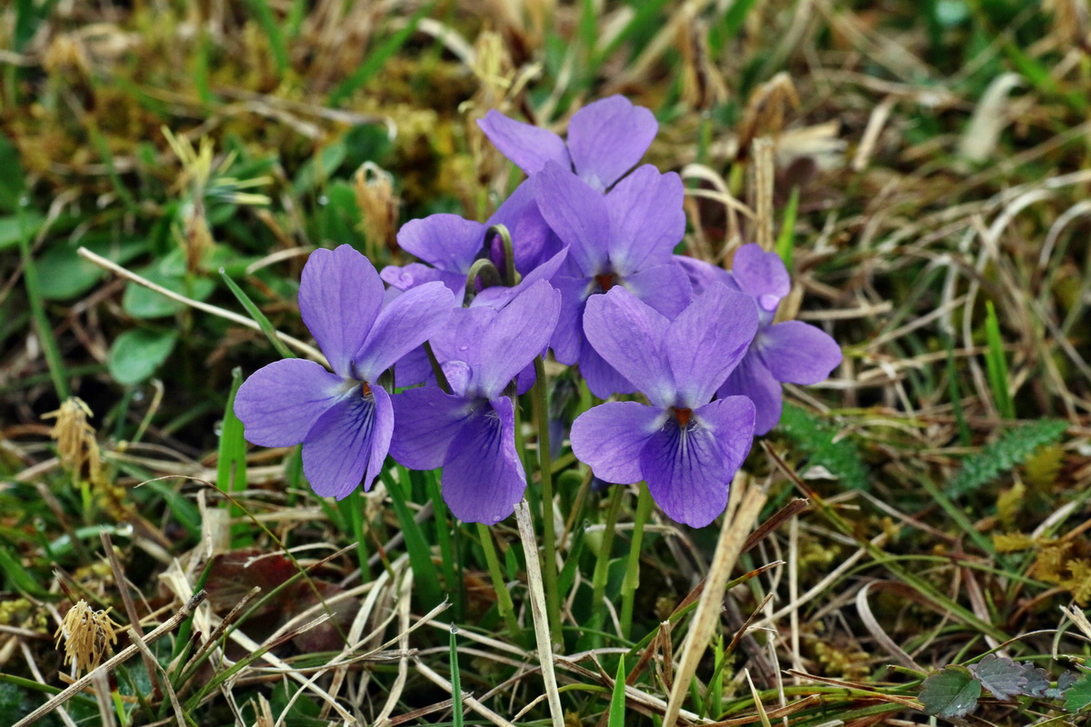 IMG-2016-04-05-00011698p_Bildgr��e �ndern