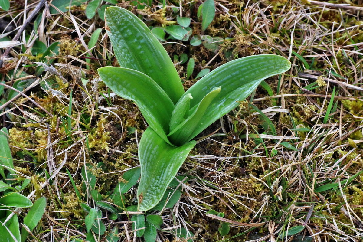 IMG-2016-04-05-00011703p_Bildgr��e �ndern