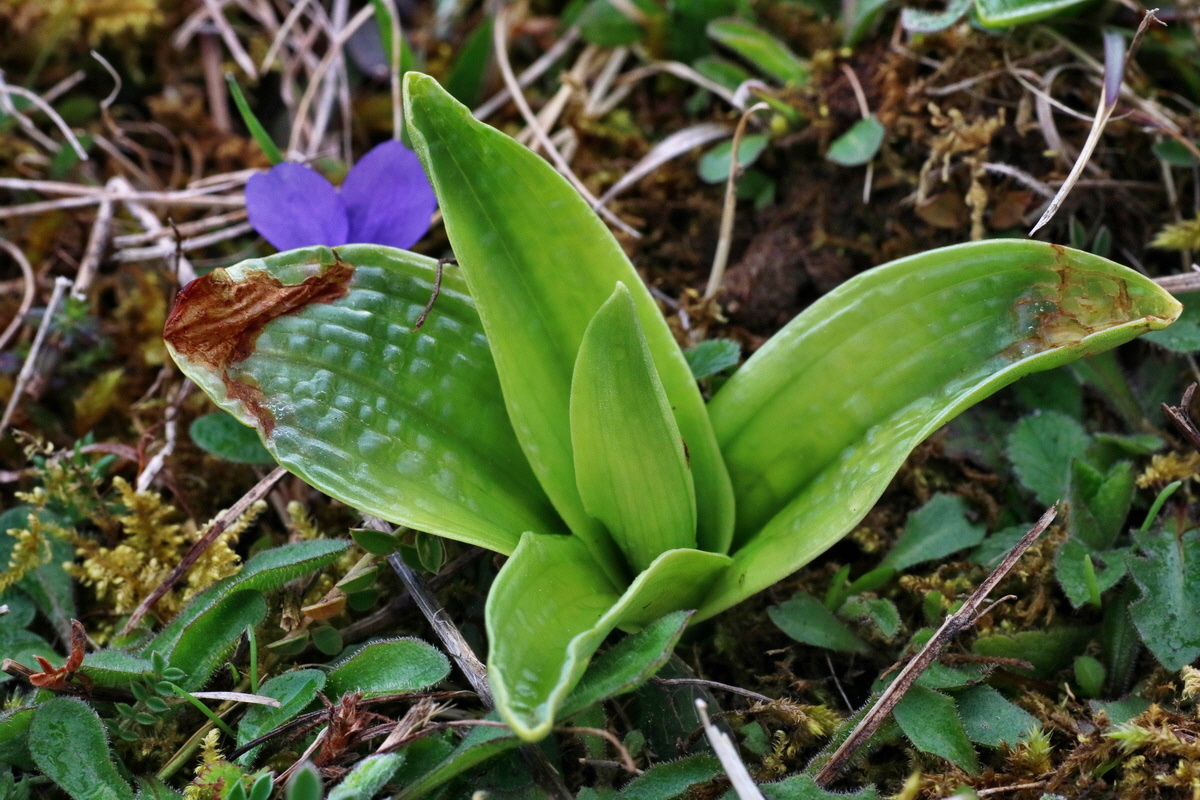 IMG-2016-04-05-00011706p_Bildgr��e �ndern