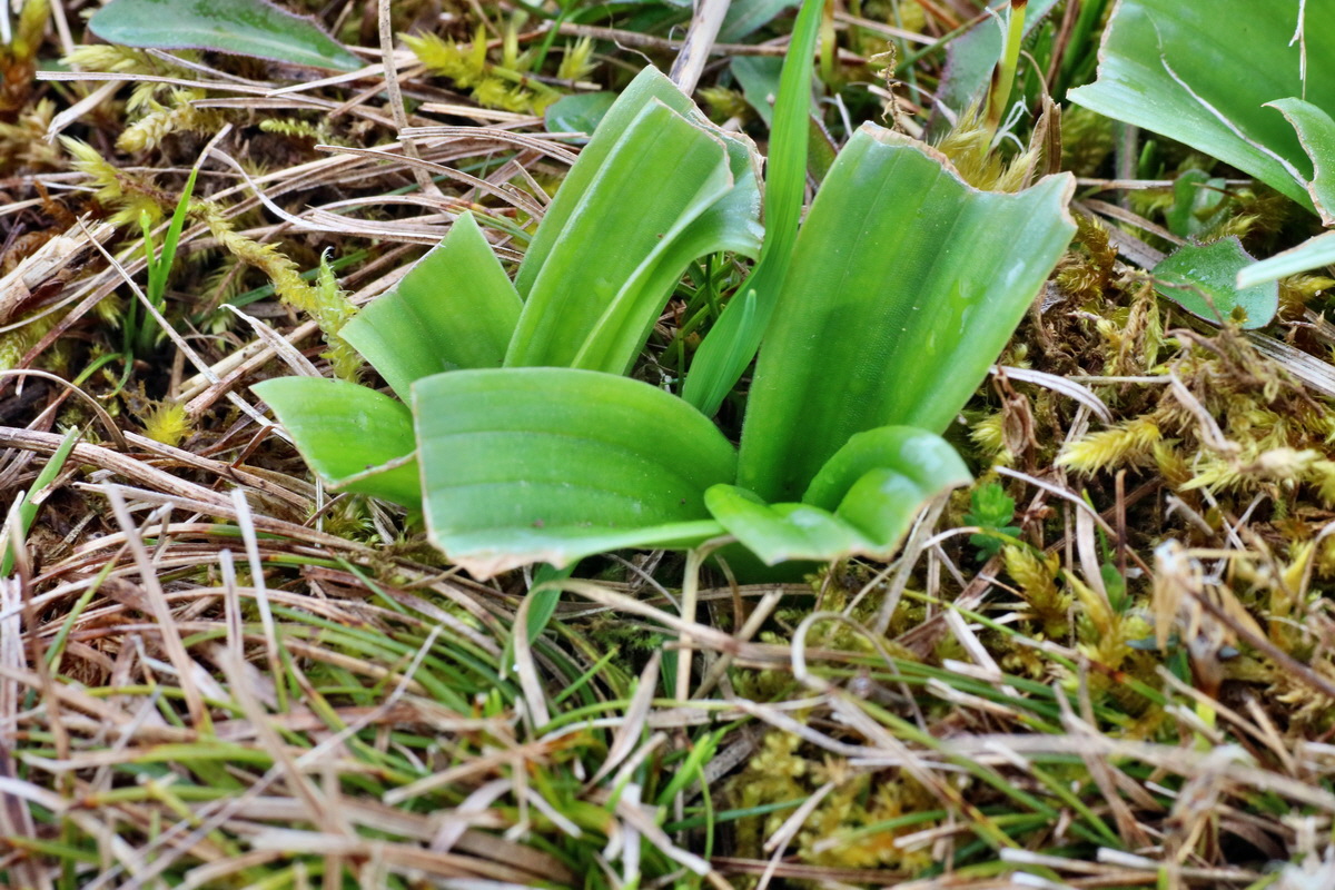 IMG-2016-04-05-00011709p_Bildgr��e �ndern